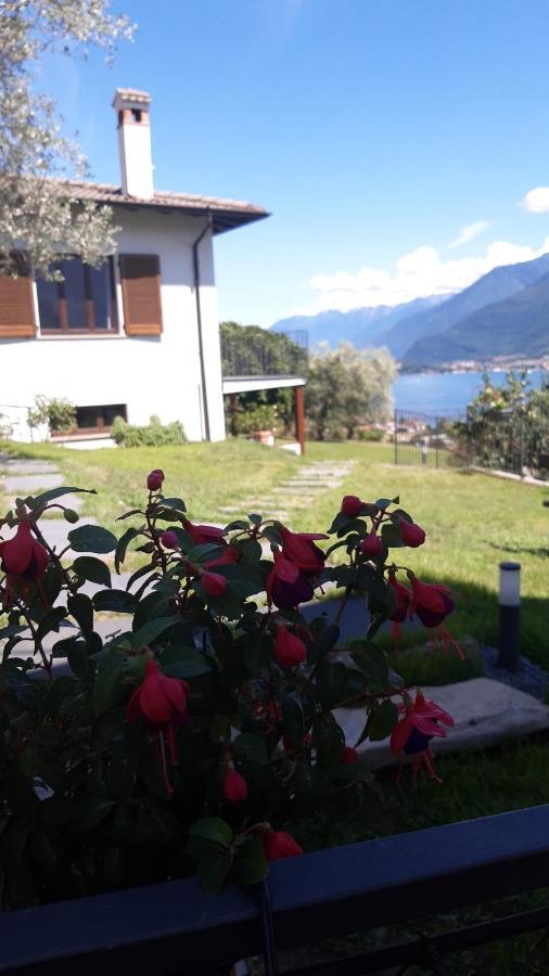 Apartamento Ca' Del Barba Domaso Exterior foto